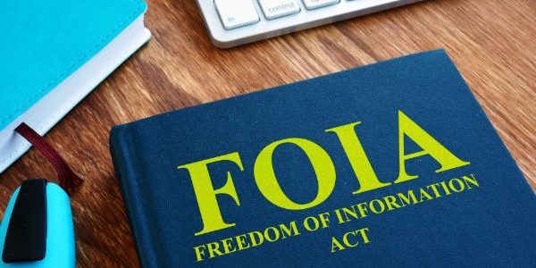 What Information is Accessible through FOIA