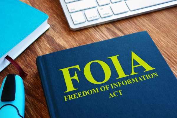 What Information is Accessible through FOIA